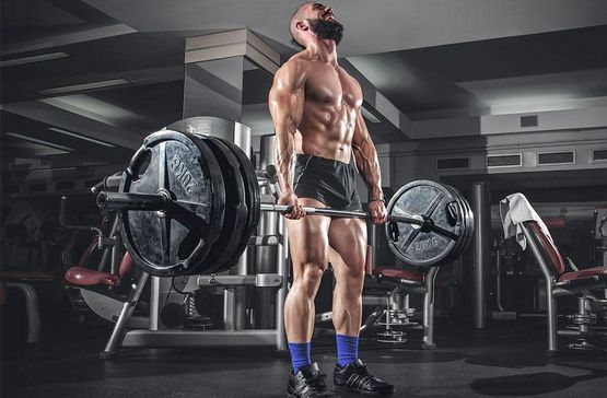 Steroids: Understanding Their Role and Impact